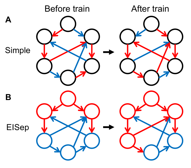 Simple and EISep recurrent networks before and after training. EISep neurons have exclusively excitatory or inhibitory outputs, with learnable neuron identities.